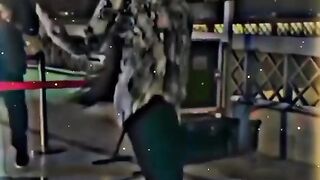Amazing dance
