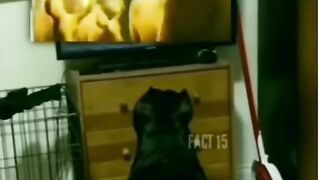 Funny moments