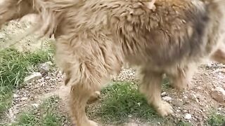 Bir Ekmek Demeyin Öyle Masum Aç Melekler Varki Ekmeğe Bile Muhtaç