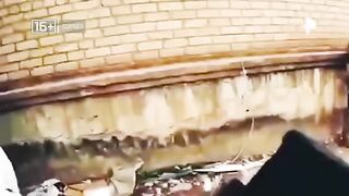 Совбез (14.01.2023)