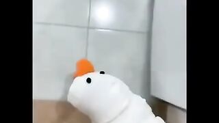 Funny animals