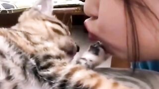 You Definitely Laugh,Trust me ???? Funniest cat and dog videos ???? Cute Cats And Dogs