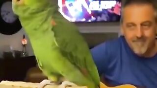 Funny animals