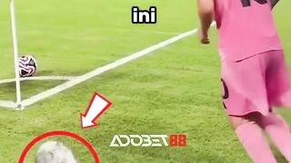 Kalian pasti sering lihat benda berbulu ini di pinggir lapangan bola kan?