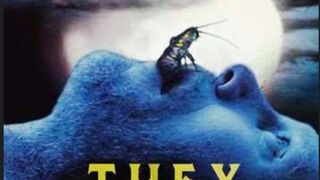 They Nest