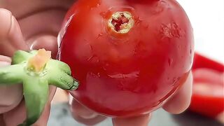 Make a pizza in forest