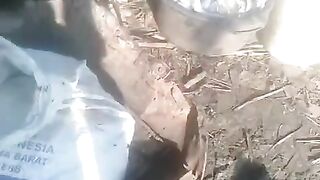 Jangan KAGET❗3 RESIKO budidaya lele dikolam TERTUTUP
