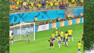 Brazil vs Germany World Cup 2014