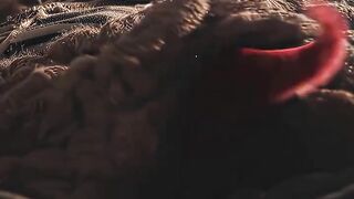 So Cute Dog Baby Stroy