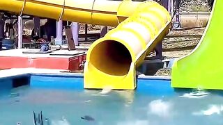 You Will Must Laugh In 5 Seconds #funnyreels #funtime #funnyvideo #usa #laughinggas