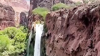Gemuruh air terjun penenang hati  #havasufalls #GrandCanyon