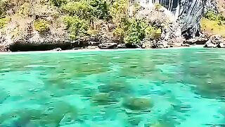Pesona pulau Phi Phi