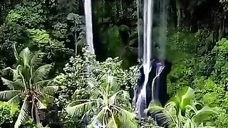 Sekumpul waterfall Bali