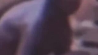 real alien found in the jungle