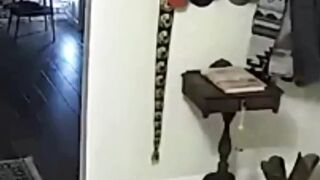 paranormal