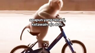 Apapun yang terjadi, ketawain aja dulu.