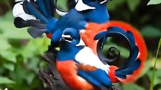 #birdphotography   #birdwatching   #birdsofinstagram   #naturelovers   #birdlife   #birds