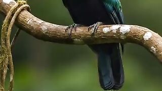 #birdphotography   #birdofinstagram   #naturelovers   #birdwatching   #birdlovers   #wildlife   #birdlife   #birds