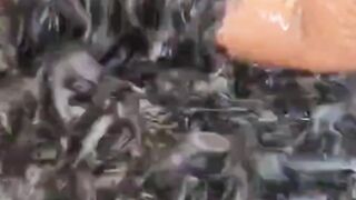 Jangan BELI Bak Sortir sebelum NONTON video ini
