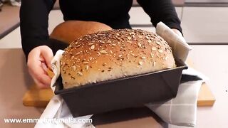 Easy NO KNEAD Whole Wheat Bread - SOFT for Days!.mp4