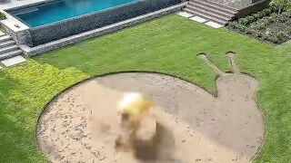 I Built a Giant Snail-Shaped Pool in My Garden