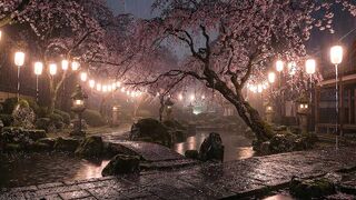 Japanese Garden Rain Ambience ????️ Sakura Night ASMR for Deep Sleep, Relaxing Sounds