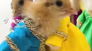 So Cute Eid Mubrak