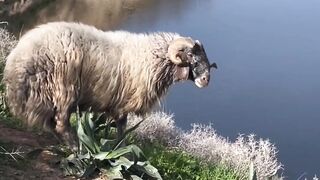 Nature Beautiful  view