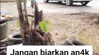 Jangan biarkan anak main sendiri di pinggir jalan ya ✍????✍????