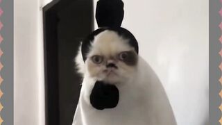 Hey Suketi