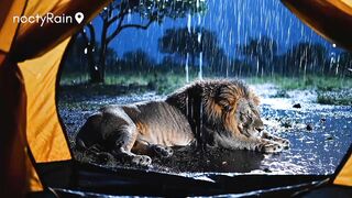 You Hear This Rain in a Tent… Would You Still Sleep?