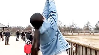 Giraffe Decides To Take The Tourist Home With Him! #funny #giraffe #zoo #animals #vfx #tourist