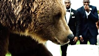 Bear Crashes Beautiful Outdoor Wedding #bear #wedding #party #crash