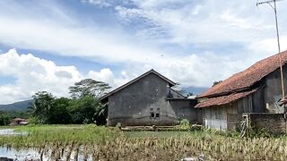 Serene Village Morning Under a Vast Sky