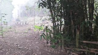 “Peaceful Backyard Garden ???? | Calm Nature Moments at Home for Relaxation”