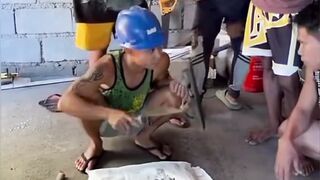 nafsunya kebangetan???? - Tigerasia88
