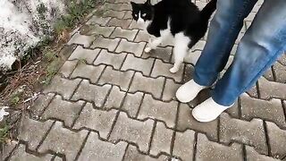 Stray Cat Who is So Happy When Alone, Complains to Me After Another Cat Comes Near Us