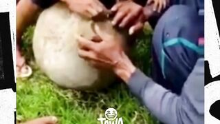 ada aja kelakuan nya 2