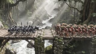 Ant colony Black Ants V's Red Ants part 2