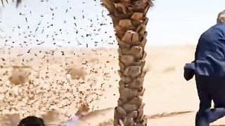 Funny politics leader