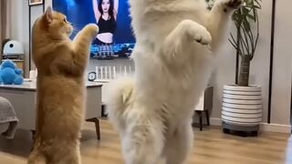 ???? So exciting! ???? It feels like the square dance area can’t hold all of you anymore hahaha…