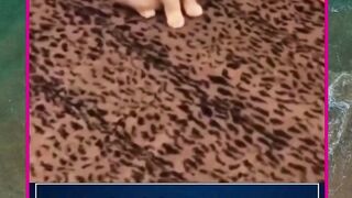 kucing centil