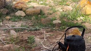 Panoramic Views and Fluffy Friends: Hiking with Sheep