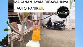 nahkan nahkan gelantungan terus sih