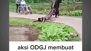 ras terkuat ODGJ  #Memelucu