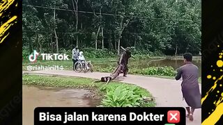 gara gara odgj