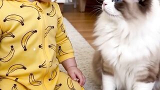 Cat and baby 5