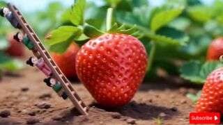 Saving Lilliput - Strawberry's Adventure ???????????? #Lilliput #MiniatureScenes #Healing #SavingLilliput