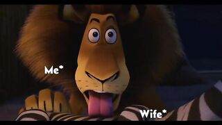 Funny Cartoon Reel