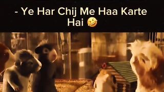 Funny Cartoon Videos